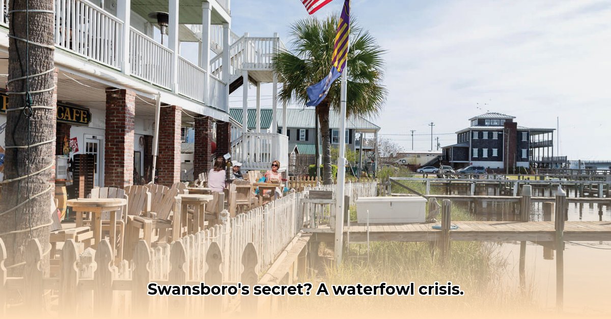 swansboro-country